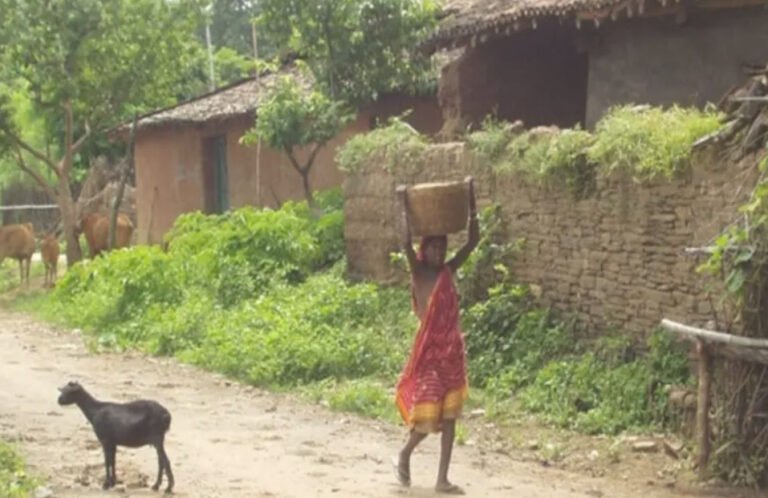 Rural Digital India: अब गांवों में भी पता ढूंढना होगा आसान, हर सड़क को मिलेगा नया नाम और कोड