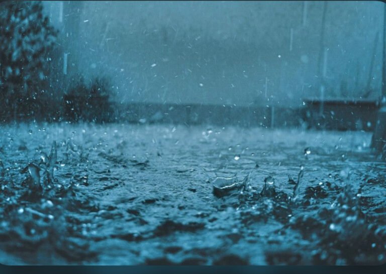 रांची/जमशेदपुर: झारखंड में जल्द पहुंचेगा मानसून, कई जिलों में बारिश का अलर्ट