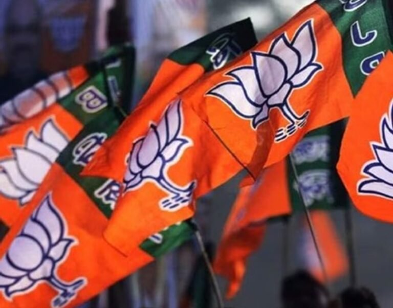 भाजपा संगठन में महिलाओं को मिलेगा 33% आरक्षण झारखंड भाजपा में बढ़ी हलचल