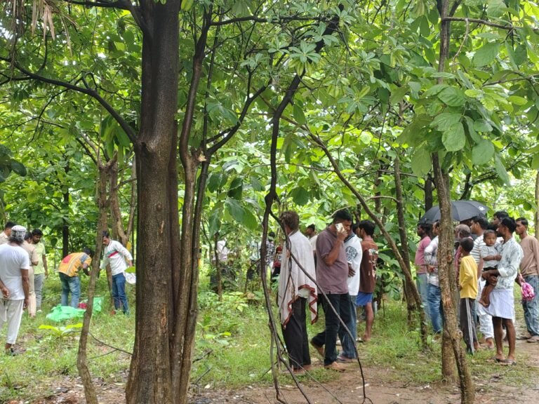 कपाली फॉरेस्ट में पेड़ से लटका मिला अज्ञात महिला का शव, बच्चों की सूचना पर पहुंचे पुलिस और लोग, जांच शुरू