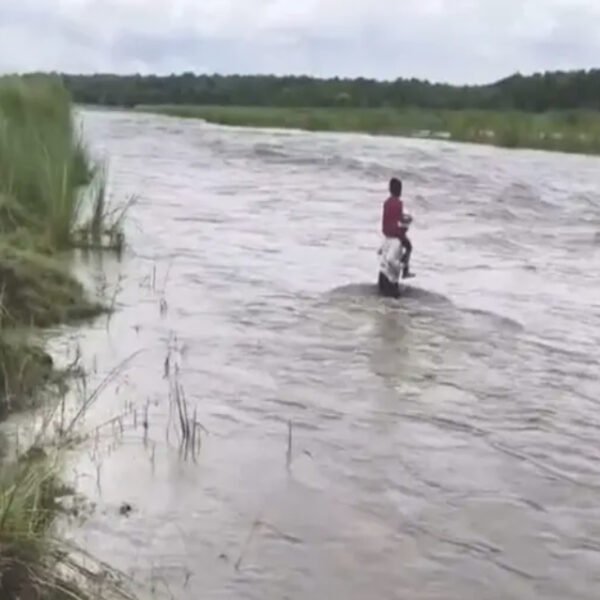 Bihar News: उफनती नदी भी नहीं रोक सकी पिता का हौसला, कंधे पर बैठाकर बेटे&hellip;