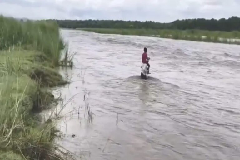 Bihar News: उफनती नदी भी नहीं रोक सकी पिता का हौसला, कंधे पर बैठाकर बेटे को पहुंचाया स्कूल